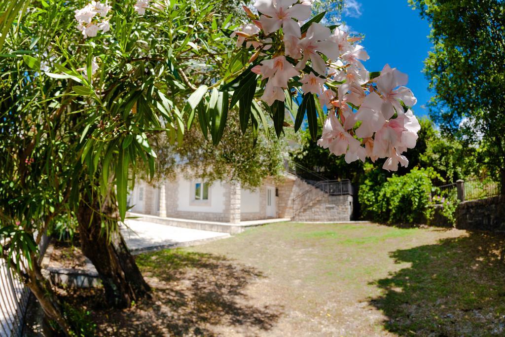Olive Tree Villa Херцег-Новий Екстер'єр фото